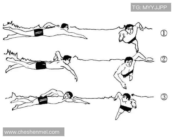 提升自由泳技巧的五大关键训练动作,助你游得更快更稳 提升自由泳技巧的五大关键训练动作,助你游得更快更稳