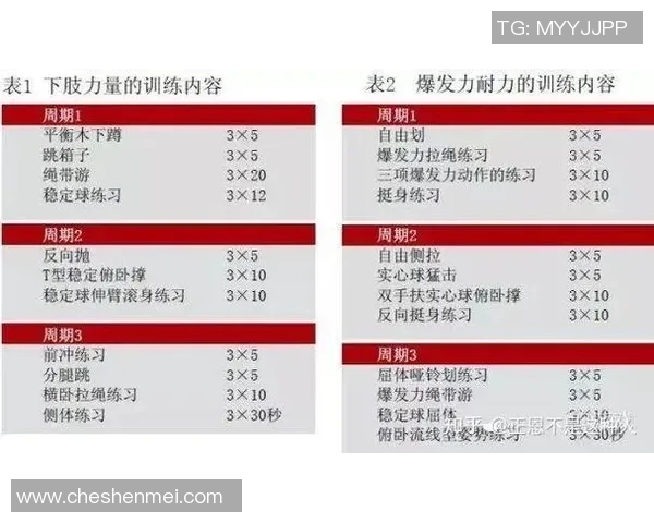高效提升自由泳技巧与耐力的全面训练计划建议