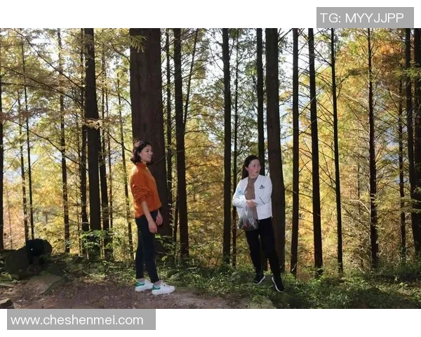 探寻王者荣耀成功背后的秘密与张军的独特见解 探寻王者荣耀成功背后的秘密与张军的独特见解