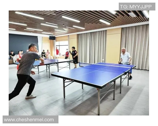 武汉乒乓球队区域防守分析及其在比赛中的成败得失探讨 武汉乒乓球队区域防守分析及其在比赛中的成败得失探讨