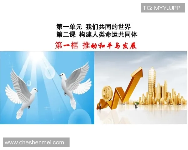 推动全球合作与和平发展：新时代外交战略与国际关系新格局