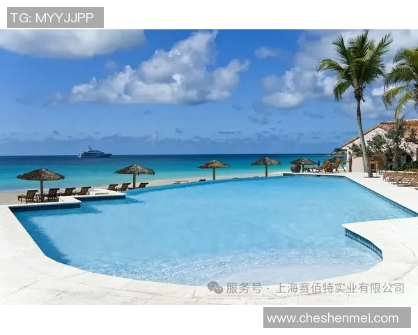 泳池清洁与维护全指南如何保持水质清澈延长池体使用寿命