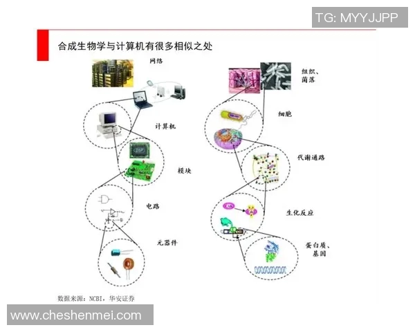 生物科技驱动未来探索基因编辑与合成生物学的创新发展路径
