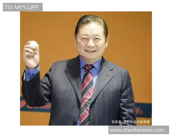 周静独家分享乒乓球技巧与心得助你提升球技的秘诀与经验