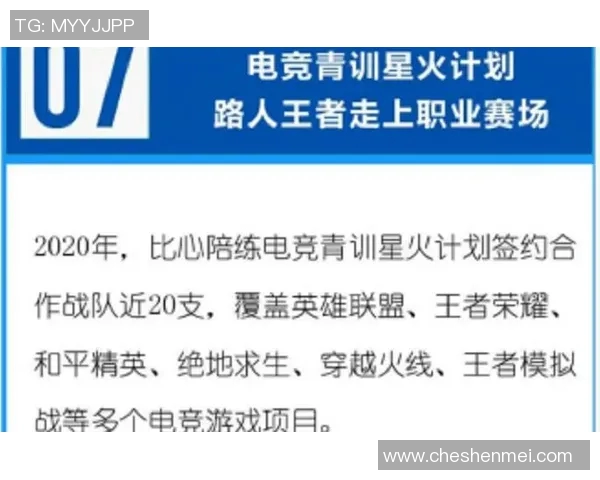 和平精英战术解析：FPX战队如何构建高效节奏体系
