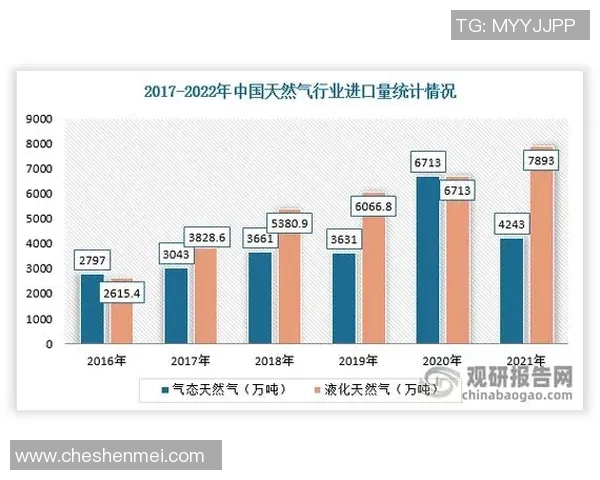 数据分析揭示LNG在不同市场环境下的耐力表现及其影响因素探讨